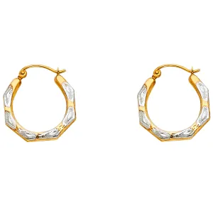 14K Hollow Hoop Earrings