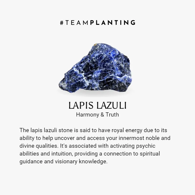 Lapis Lazuli Shield Magnetic Braid Bracelet