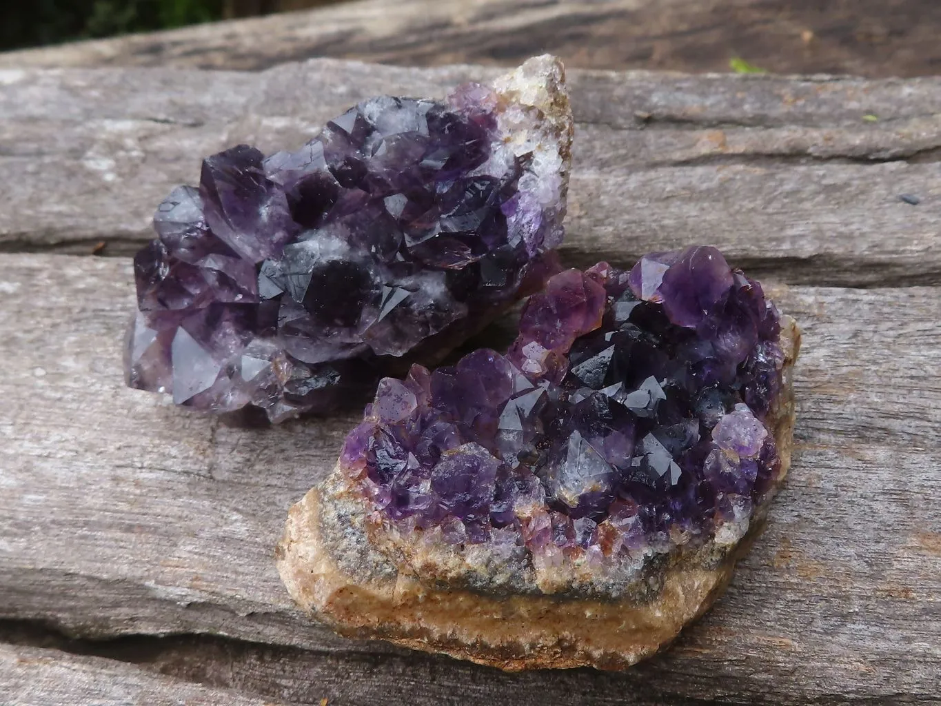 Natural Small Dark Amethyst Crystal Plate Specimens x 24 From Zululand, South Africa
