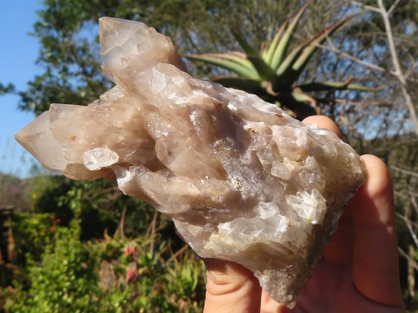 Natural Smokey Quartz Clusters x 3 From Luena, Congo