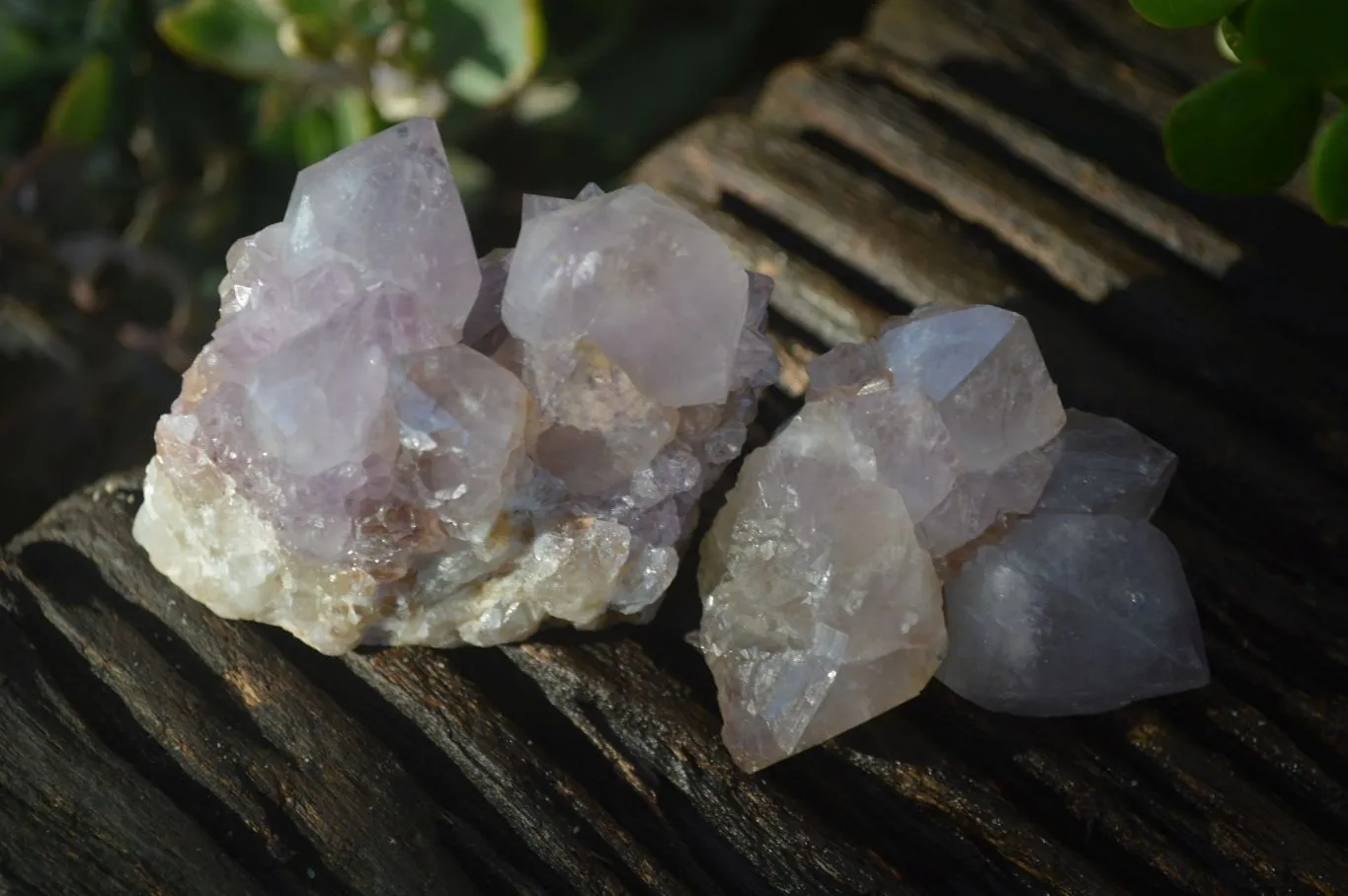 Natural Spirit Amethyst Quartz Clusters x 12 From Boekenhouthoek, South Africa