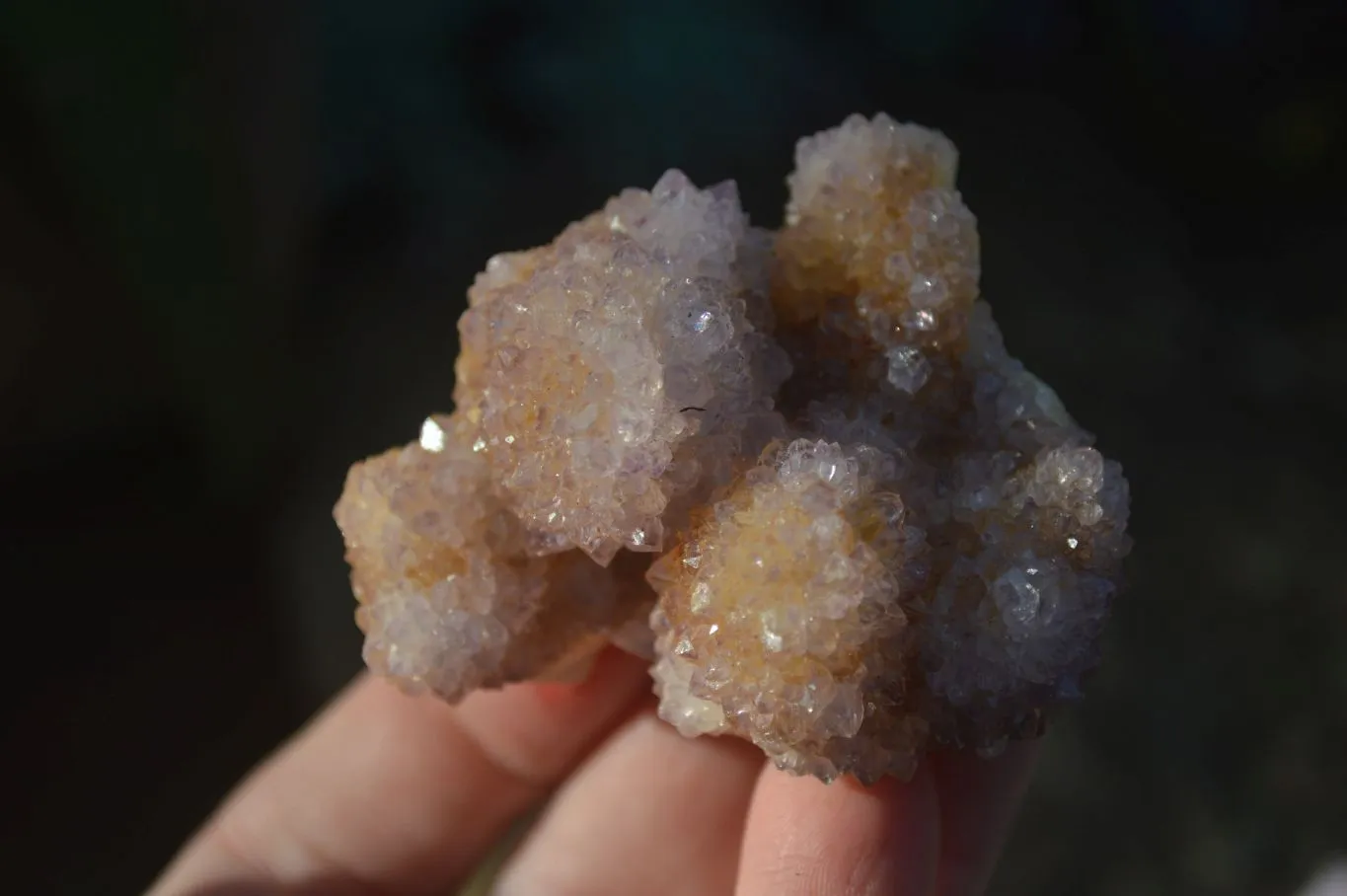 Natural Spirit Amethyst Quartz Clusters x 12 From Boekenhouthoek, South Africa