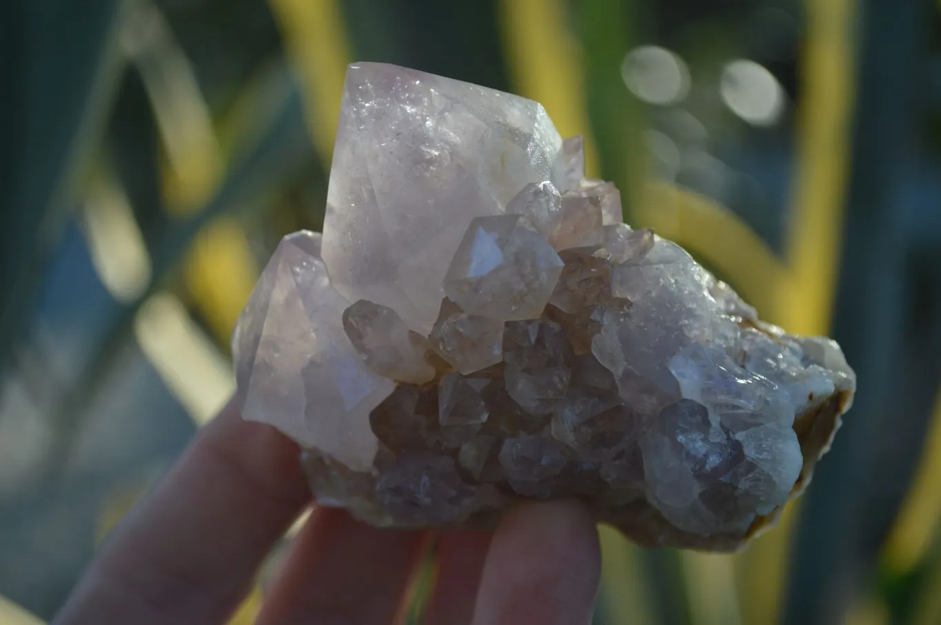 Natural Spirit Amethyst Quartz Clusters x 12 From Boekenhouthoek, South Africa