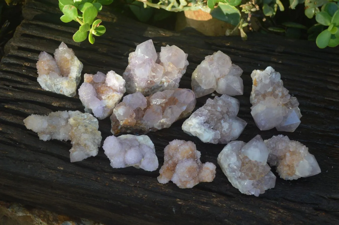 Natural Spirit Amethyst Quartz Clusters x 12 From Boekenhouthoek, South Africa