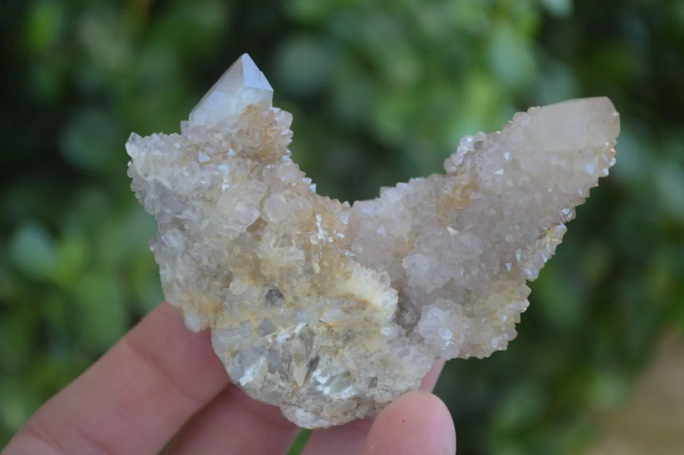 Natural Spirit Amethyst Quartz Clusters x 12 From Boekenhouthoek, South Africa