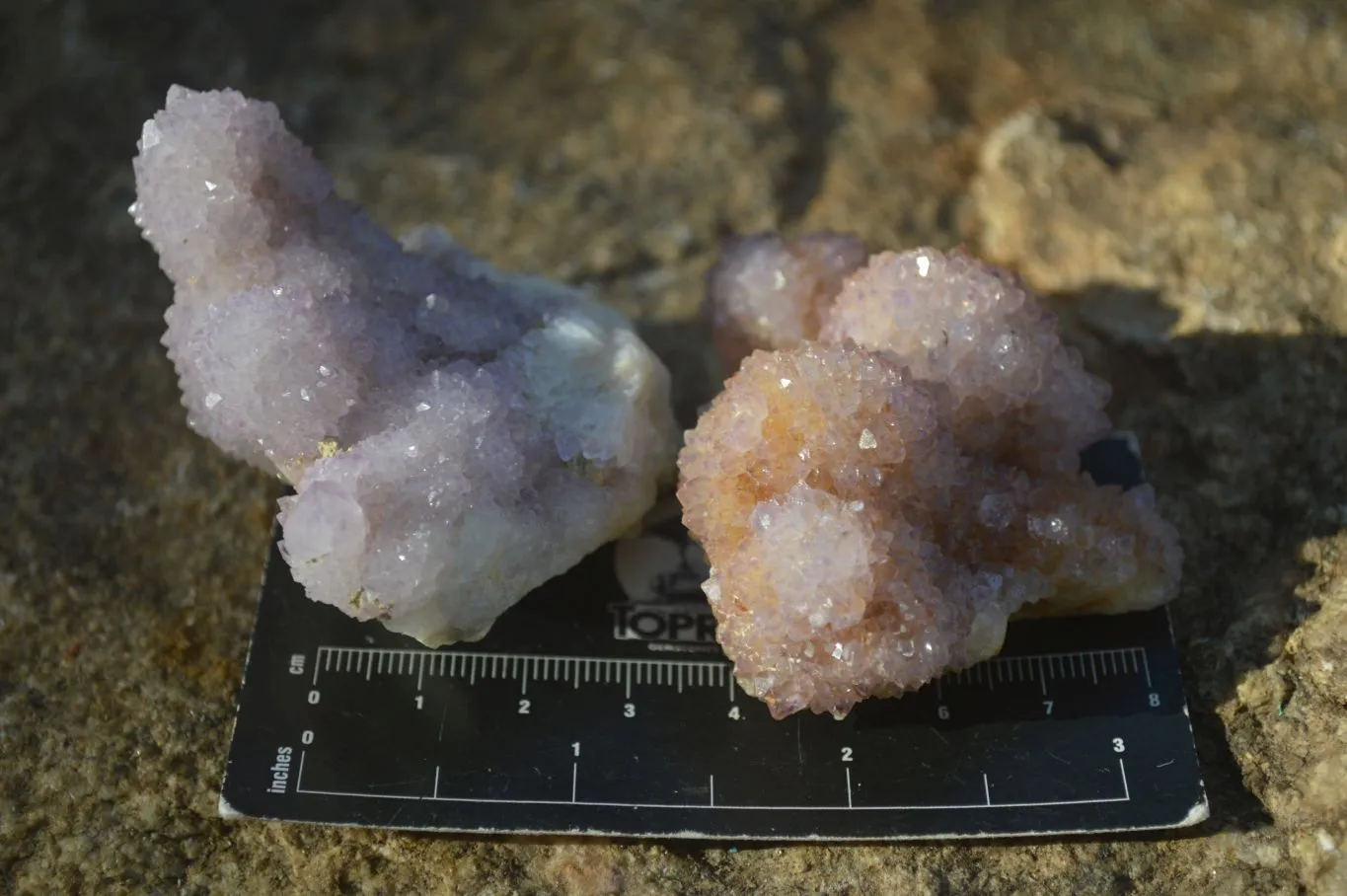 Natural Spirit Amethyst Quartz Clusters x 12 From Boekenhouthoek, South Africa