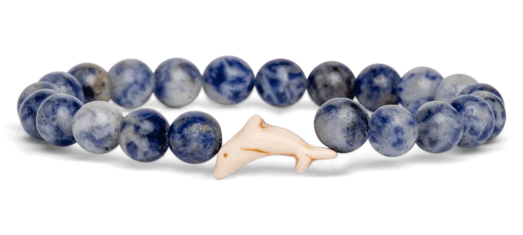 Odyssey Bracelet - Dolphin